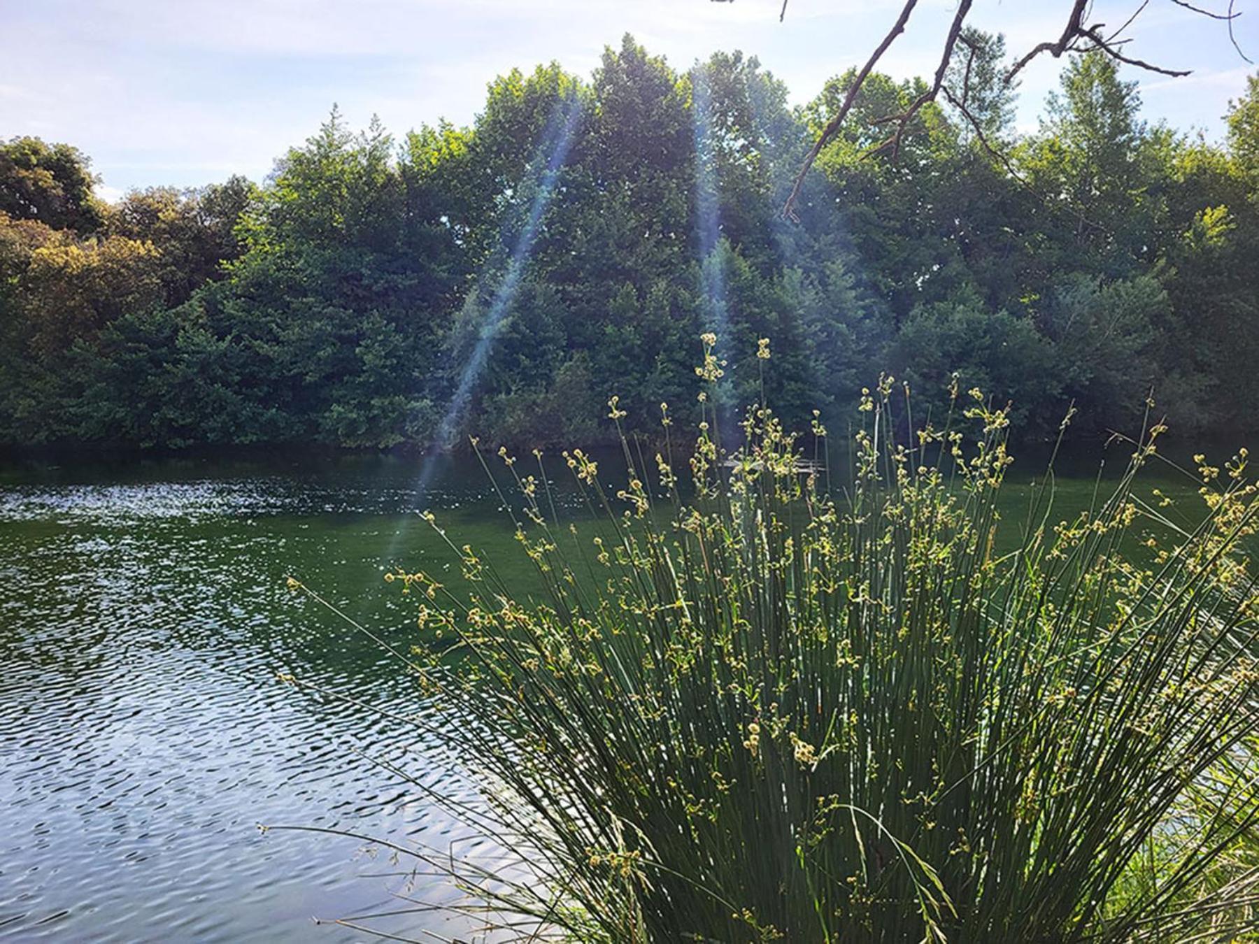 Camping Le Val De Cesse Mirepeisset エクステリア 写真