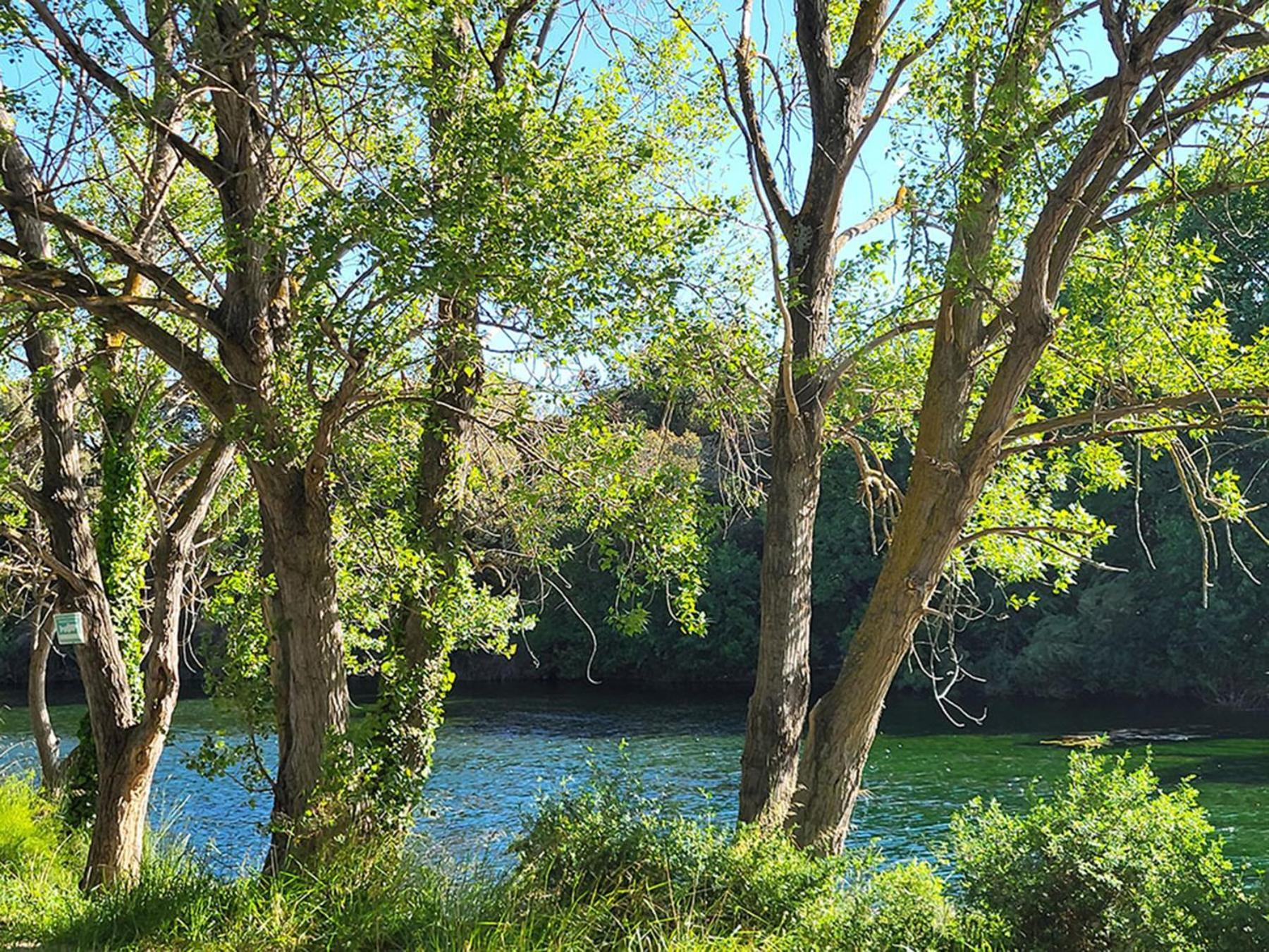Camping Le Val De Cesse Mirepeisset エクステリア 写真