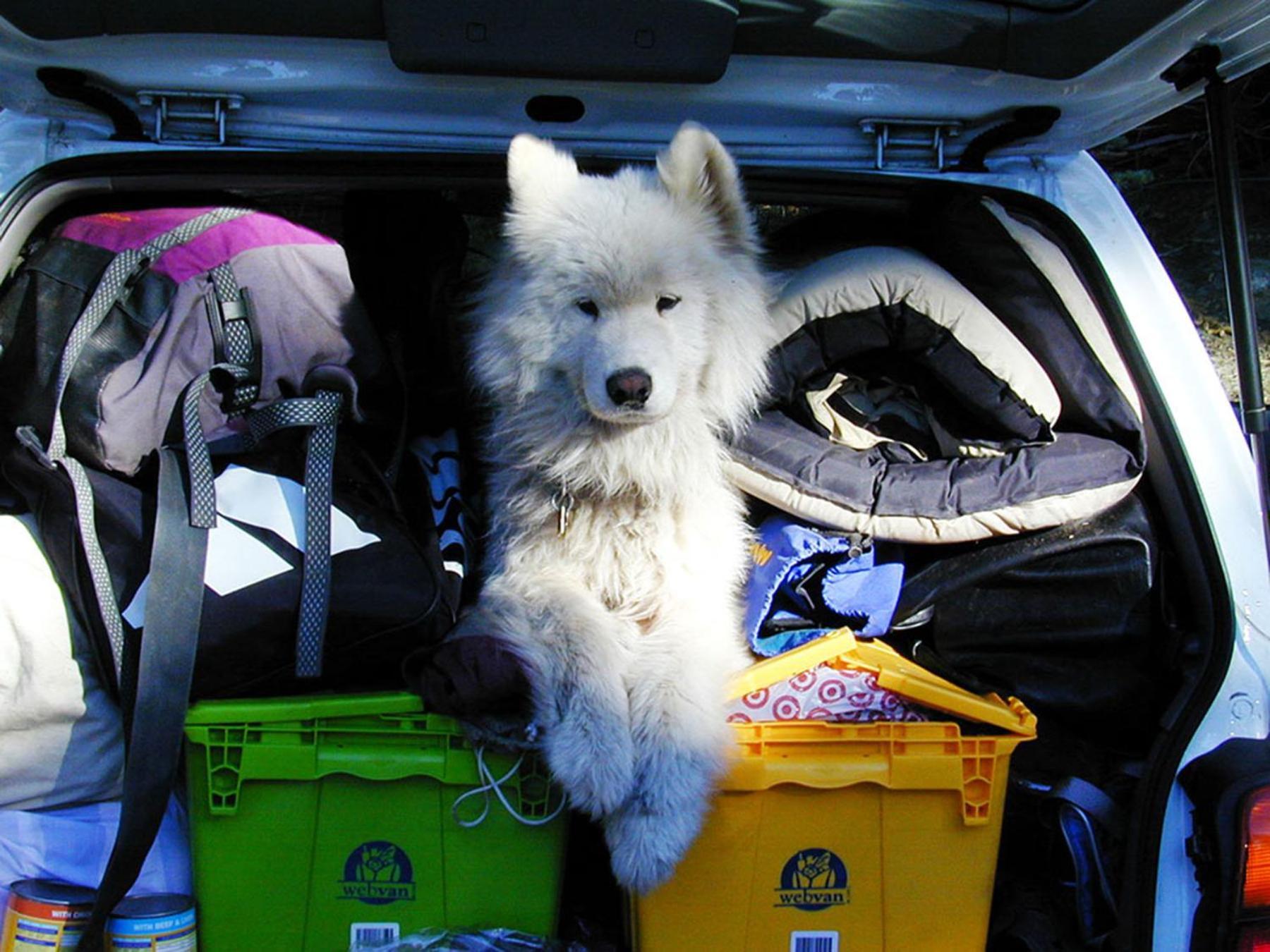 Camping Le Val De Cesse Mirepeisset エクステリア 写真
